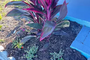 5440 Pineland Ave, Port Orange, FL 32127 - Photo 9