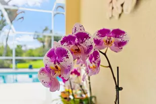 8240 SE Paurotis Ln, Hobe Sound, FL 33455 - Photo 25