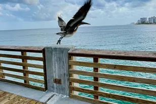 3212 NE 12th St, Pompano Beach, FL 33062 - Photo 29