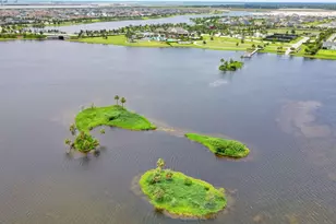 1055 Ember Ridge Run, Loxahatchee, FL 33470 - Photo 91
