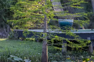 32801 US-441, Okeechobee, FL 34972 - Photo 47