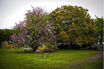 3825 Lakewood Road #A, Palm Springs, FL 33461 - Photo 11