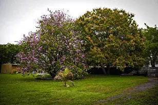 3825 Lakewood Rd, Palm Springs, FL 33461 - Photo 11