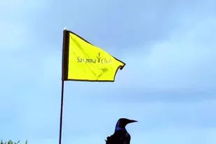 8181 14th Hole Dr, Port Saint Lucie, FL 34952 - Photo 33