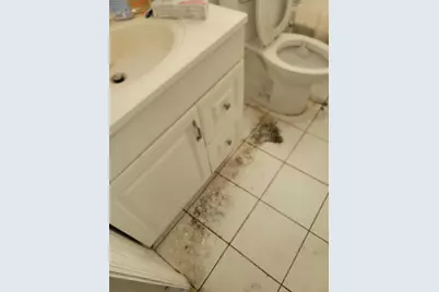 2241 Freedom Street, Hollywood, FL 33020 - Photo 7