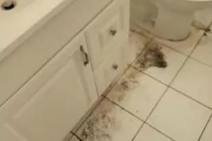 2241 Freedom St, Hollywood, FL 33020 - Photo 7