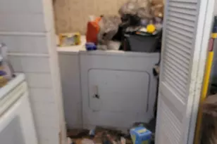 2241 Freedom St, Hollywood, FL 33020 - Photo 17