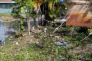 2241 Freedom St, Hollywood, FL 33020 - Photo 33