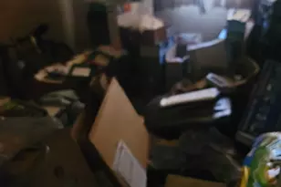 2241 Freedom St, Hollywood, FL 33020 - Photo 3