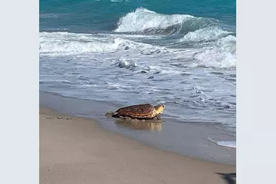 605 Mainsail Circle, Jupiter, FL 33477 - Photo 31