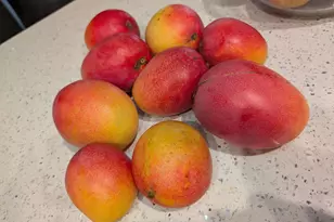 1738 Lindsey Ct, Wellington, FL 33414 - Photo 49