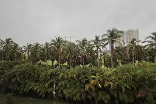 300 NE 14th Ave, Hallandale Beach, FL 33009 - Photo 17