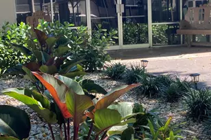 2650 NW 49th Ave, Lauderdale Lakes, FL 33313 - Photo 25