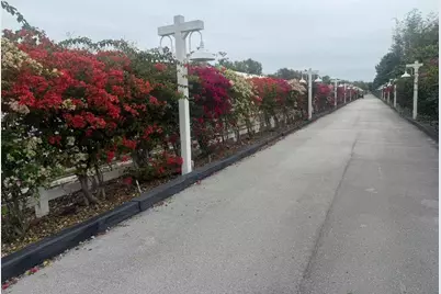 4680 SW 148th Avenue, Southwest Ranches, FL 33331 - Photo 13