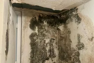 317 Berenger Walk, Royal Palm Beach, FL 33414 - Photo 17