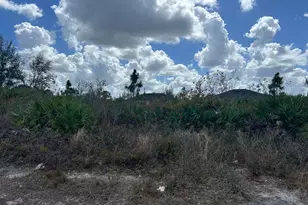 3205 8th St W, Lehigh Acres, FL 33971 - Photo 3