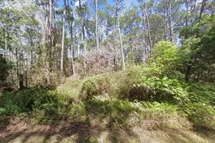 416 Palm Way, Georgetown, FL 32139 - Photo 1