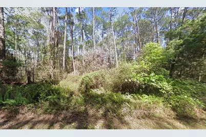 416 Palm Way, Georgetown, FL 32139 - Photo 1