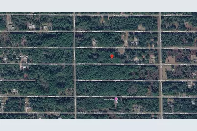 416 Palm Way, Georgetown, FL 32139 - Photo 3