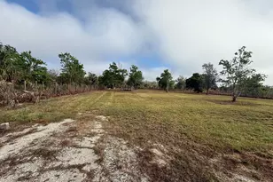 17231 NW 268th St, Okeechobee, FL 34972 - Photo 1