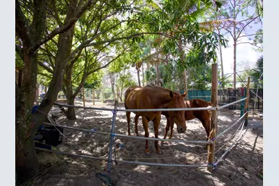 11481 Tangerine Boulevard, The Acreage, FL 33412 - Photo 31