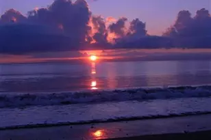 8810 S Sea Oaks Way, Vero Beach, FL 32963 - Photo 73