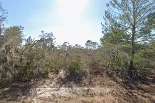 3235 N Dahlia Dr, Lake Placid, FL 33852 - Photo 1