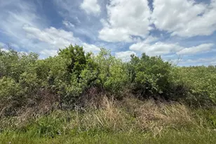 15837 NW 282nd St, Okeechobee, FL 34972 - Photo 1