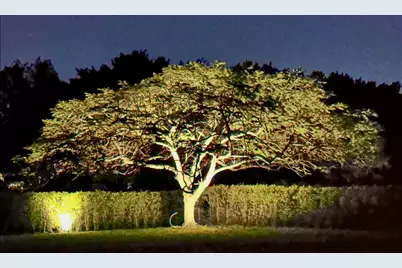 14390 Wellington Trace, Wellington, FL 33414 - Photo 41