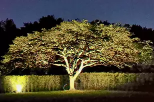 14390 Wellington Trace, Wellington, FL 33414 - Photo 41