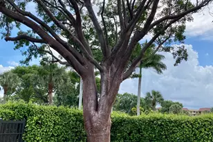 9170 SW 14th St, Boca Raton, FL 33428 - Photo 45