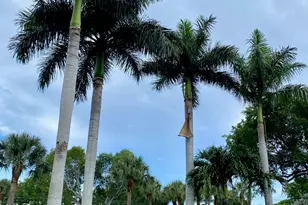 9170 SW 14th St, Boca Raton, FL 33428 - Photo 41