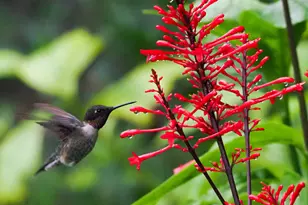 534 NW Kingston St, Port Saint Lucie, FL 34983 - Photo 75