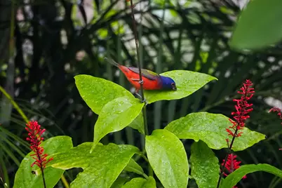 534 NW Kingston Street, Port Saint Lucie, FL 34983 - Photo 63