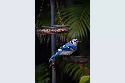 534 NW Kingston Street, Port Saint Lucie, FL 34983 - Photo 77