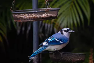 534 NW Kingston St, Port Saint Lucie, FL 34983 - Photo 77