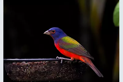 534 NW Kingston Street, Port Saint Lucie, FL 34983 - Photo 65