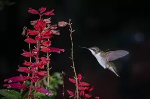 534 NW Kingston St, Port Saint Lucie, FL 34983 - Photo 71