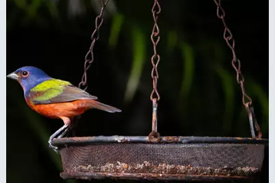 534 NW Kingston Street, Port Saint Lucie, FL 34983 - Photo 67