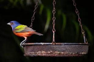 534 NW Kingston St, Port Saint Lucie, FL 34983 - Photo 67