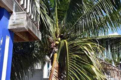22920 Privateer Drive, Cudjoe Key, FL 33042 - Photo 15