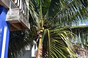 22920 Privateer Dr, Cudjoe Key, FL 33042 - Photo 15