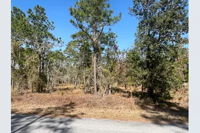 Tbd NW Water Oak Avenue, Dunnellon, FL 34431 - Photo 7