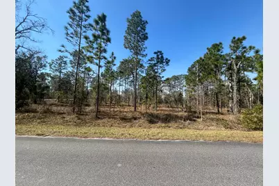 Tbd NW Water Oak Avenue, Dunnellon, FL 34431 - Photo 1
