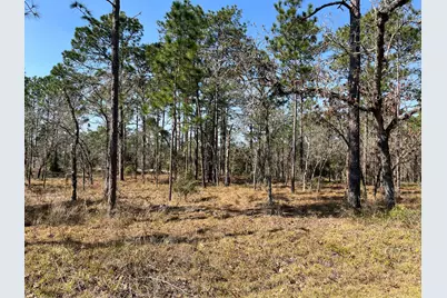 Tbd NW Water Oak Avenue, Dunnellon, FL 34431 - Photo 11