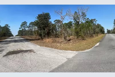 Tbd NW Water Oak Avenue, Dunnellon, FL 34431 - Photo 5