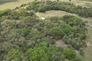 1002 Bankers Rd, Lorida, FL 33857 - Photo 5