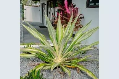 2506 Bimini Lane, Fort Lauderdale, FL 33312 - Photo 41