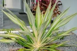 2506 Bimini Ln, Fort Lauderdale, FL 33312 - Photo 41