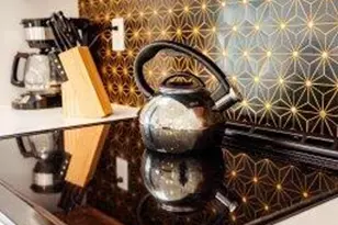 2506 Bimini Ln, Fort Lauderdale, FL 33312 - Photo 17